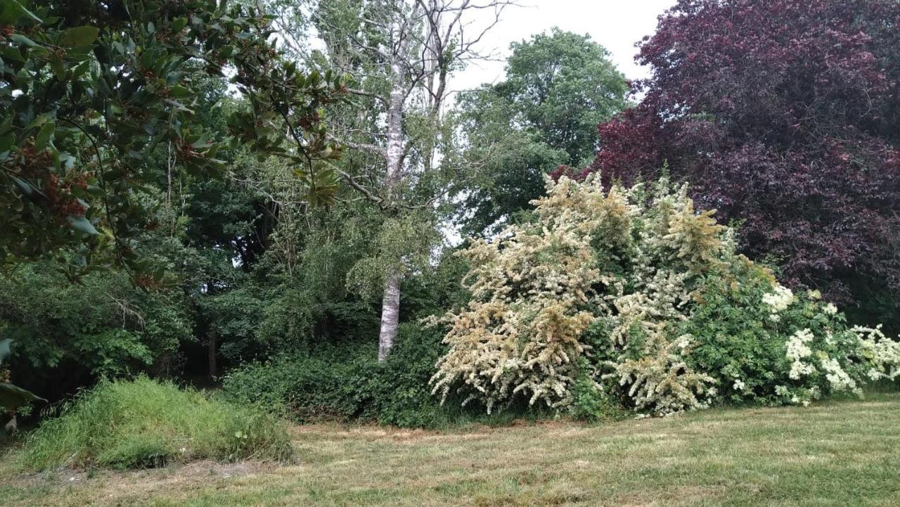 Chambre A La Ferme Saint-Martin-des-Champs  ภายนอก รูปภาพ